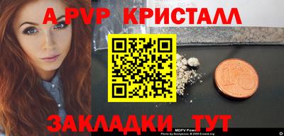 СК Шелехов