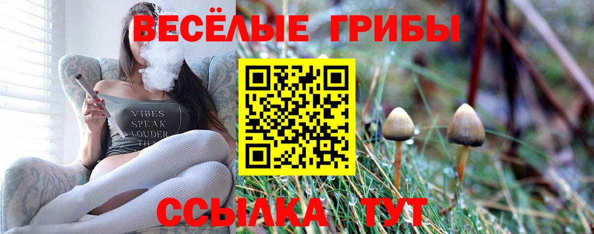 Галлюциногенные грибы ЛСД  Вход с VPN  Сальск  Псилоцибиновые грибы MAGIC MUSHROOMS 